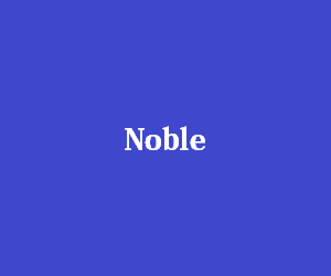 The Noble is 300 x 250 pixels.